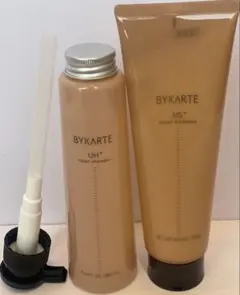 ホーユー バイカルテ CH280ml＋MS250g セット - メルカリ