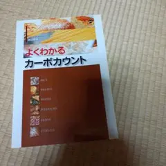 よくわかるカーボカウント