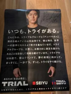 お*)様 ⭐︎レア！岡村靖幸 ファンクラブ会報 13冊Vol.0〜ステッカー