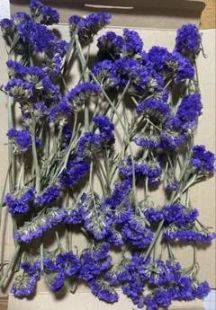 Item thumbnail for item 875c24cb-c12f-4017-bc2e-0da34f1fb815