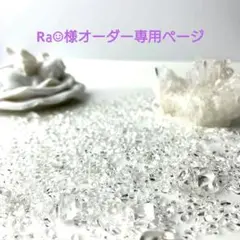 Ra︎☺︎様オーダー専用