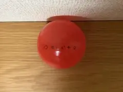 FRUITSZIPPER 松本かれん サインボール さいたまスーパーアリーナ