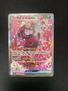 キチキギスex SAR さかてにとる