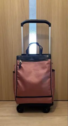 希少】SPEC 当麻紗綾 愛用 キャリーケース ヒデオワカマツ 機内