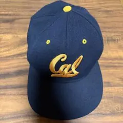 Item thumbnail for item 4fbb5573-29e1-4f28-86a6-017375a3a61d