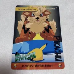 ポケモン カードダス MOVIE53 ピカチュウ＆トゲピー アニメ