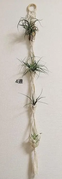 Item thumbnail for item 56d2b818-6a27-46cb-8d64-4abf6a10f737