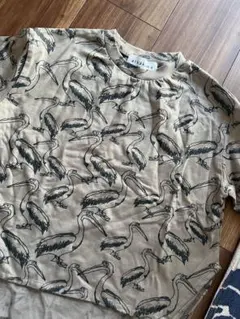 Item thumbnail for item 8fb4ec22-cae3-4a56-85b6-017c851fd2ee