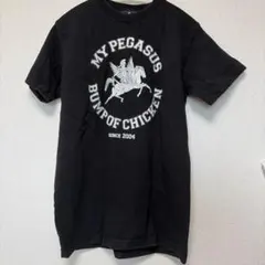 BUMP OF CHICKEN MYPEGASUS ツアーTシャツ 2004 M - メルカリ
