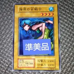 超激レア! 規格外1BOXエラー カードダス20 らんま1/2 格闘編パート1