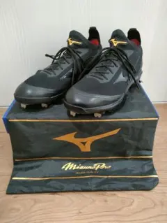 Item thumbnail for item 735031a2-50c8-4ba7-9ee7-3d8e0d9d3db4