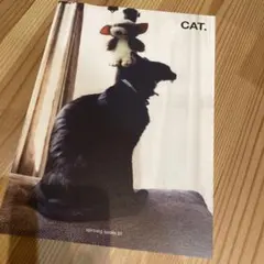 Item thumbnail for item ea812d48-0fca-4aff-8b19-ba7e8323ff63