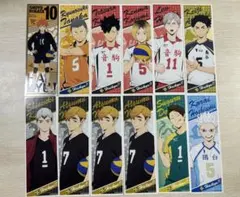 【レアあり】ハイキューロングステッカー【12枚】