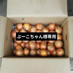 ぶーこちゃん様専用