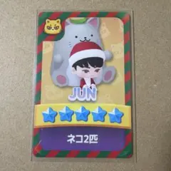 SEVENTEEN NEW_ CARATブース　会場限定　パズチ　トレカ　ジュン