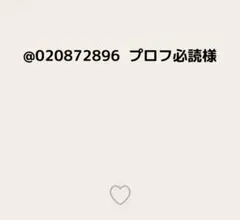 @020872896 プロフ必読様
