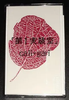 2025年最新】cali≠gari 第3実験室の人気アイテム - メルカリ