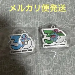 ポケモン 30周年 メタルチャームマスコット ②