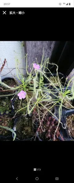 くなりみい様 リクエスト 3点 まとめ商品