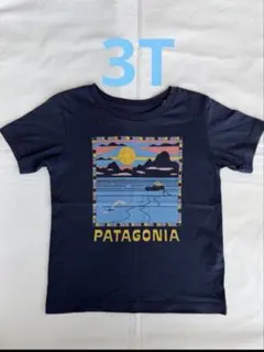 パタゴニア　ネイビーTシャツのサムネイル