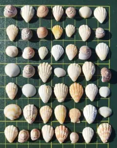 まもん様 リクエスト 4点 まとめ商品