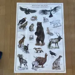 Item thumbnail for item 7971f521-3a55-4fd8-bc82-b3b2c8aad030