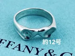 2026年最新】ティファニー カーブド リングの人気アイテム - メルカリ