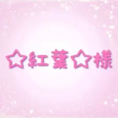 ☆紅葉☆様
