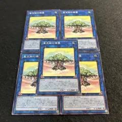 a2048【遊戯王】聖天樹の精霊　5枚セット