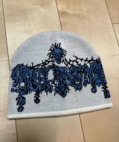supreme Wombat Beanie ビーニー punkandyo fti 2026年最新】wombat beanieの人気アイテム - メルカリ