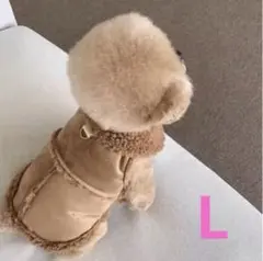 Item thumbnail for item 668da864-1657-4612-b0f2-fe3813d2b90b