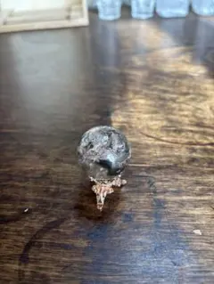 2025年最新】ガーデンスフィアの人気アイテム - メルカリ