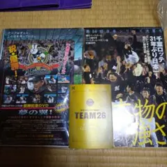 Item thumbnail for item 2af949ed-fc40-4ab7-be7e-720909faf17c