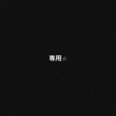 専用⭐︎