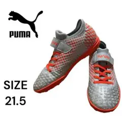 Item thumbnail for item 9e106689-9328-4290-8474-77b84133509f