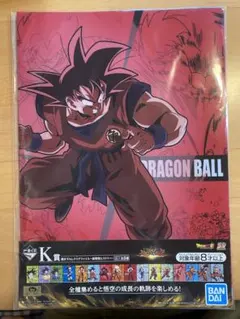 Item thumbnail for item 347aa11c-f427-4ab2-ab4d-100669ca0657