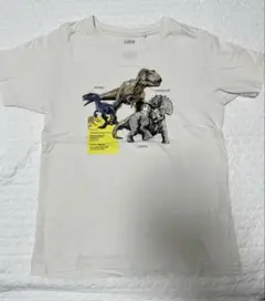 120cm ジュラシック・ワールド 恐竜Tシャツ