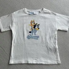 最終値下げ ZARA Bluey ブルーイ Tシャツ