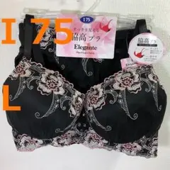 【I 75/ L】ブラ・ショーツセット★2点以上で各200円引★40517081