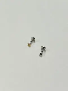 激レア】ANATOMETAL アナトメタル スパイラルピアス レインボー⑦ 