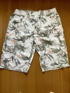 Item thumbnail for item 0a88ccc6-8a3f-4c66-9285-f70ad0819272