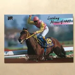 97下 競馬カード、サニーブライアン