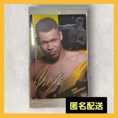 RIZINウエハース2025 エドポロキング