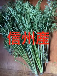 京都府産　間引きにんじんの葉っぱ3kg　無農薬 京都府産 間引きにんじんの葉っぱ3kg 無農薬 - メルカリ