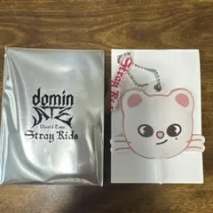 Stray Kids ヒョンジン　ミニうちわキーホルダー