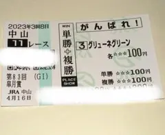 馬券 グリューネグリーン 第83回皐月賞 中山競馬場