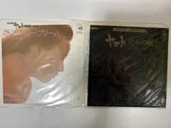 Item thumbnail for item 40541d89-729f-4290-a922-862700b5a503