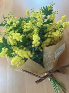 ドライフラワーミモザのブーケ風スワッグ❁⃘*.゜