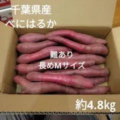 27 難あり　千葉県産　べにはるか　さつまいも　Mサイズ　約4.8㎏