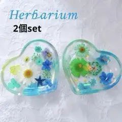 (訳あり) ハートの小皿2つset 固まるハーバリウム